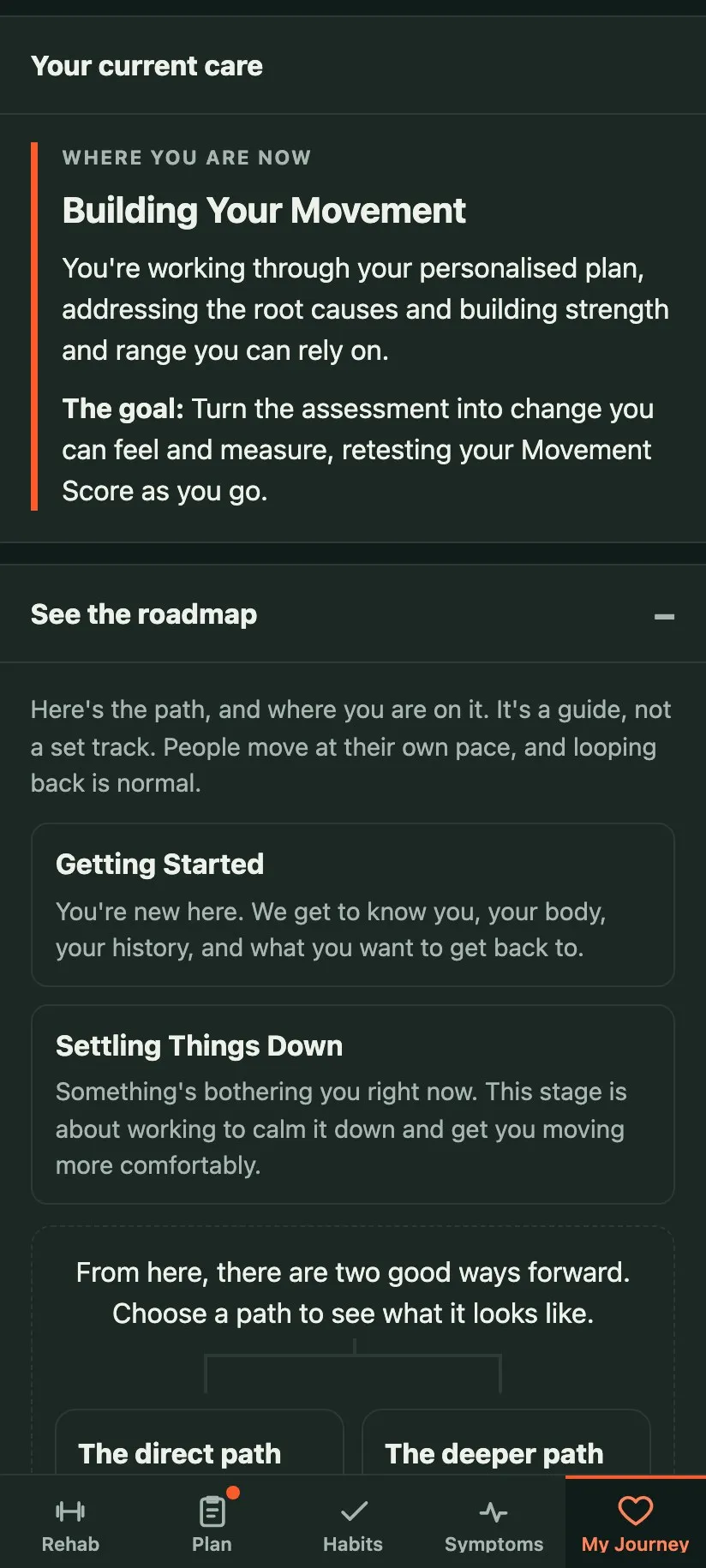 A demonstration care journey showing the current stage, Building Your Movement, and an expanded roadmap.